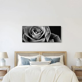Tablou - Trandafir,alb-negru (120x50 cm)