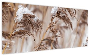 Tablou - Tei (120x50 cm)