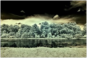 Tablou suprafeței de apă (90x60 cm)