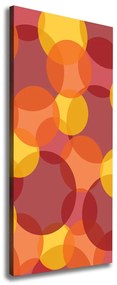 Tablou canvas Cercuri colorate