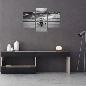 Tablou - Avion alb-negru și alb-negru (90x60 cm)