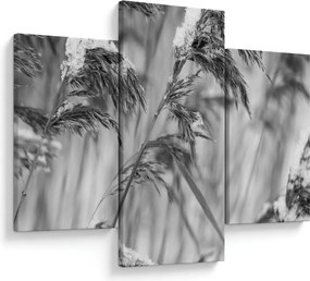 Tablou - Tei,alb-negru (90x60 cm)