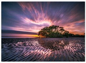Tablou copacului pe plajă (70x50 cm)