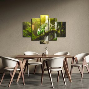Tablou - cameleon (150x105 cm)