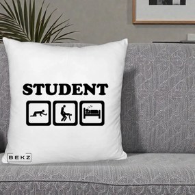 Perna Decorativa Student Life, 40x40 cm, Alb Pufos, Husa Detasabila, Perna Inclusa, BEKZ®