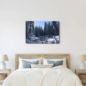 Tablou pădurii înzăpezite (90x60 cm)