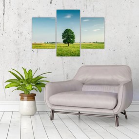 Tablou cu copaci pe luncă (90x60 cm)
