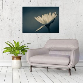 Tablou pe sticlă cu flori (70x50 cm)
