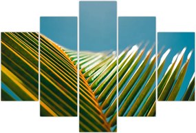 Tablou - Frunze de palmier (150x105 cm)