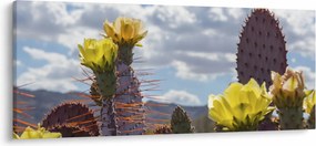 Tablou cu floarea de cactus Opunție (120x50 cm)