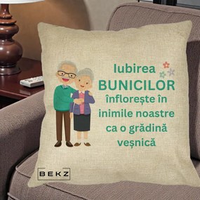 Cadou pentru Bunici - Perna Personalizata Bunicii Iubirea Infloreste Cuplu Senior Teal, 40x40 cm, Crem, Husa Detasabila, Perna Inclusa, BEKZ®