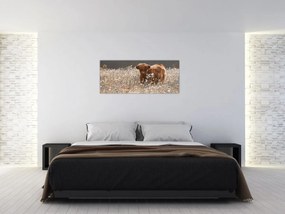 Tablou - Vacă scoțiană (120x50 cm)