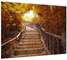 Tablou pe sticlă - Scări în natură în toamnă (70x50 cm)