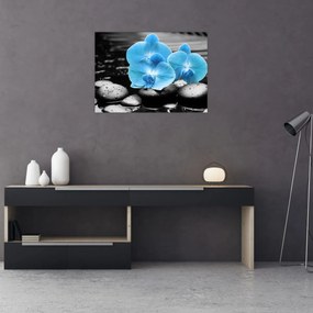 Tablou pe sticlă - Orhidee albastră (70x50 cm)