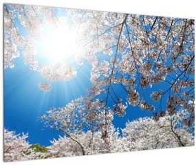 Tablou - Flori de cireș (90x60 cm)