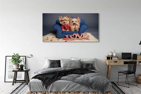 Tablouri canvas Yorkie