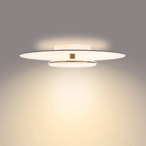 Plafonieră LED dimabilă GARNET SCENE SWITCH LED/40W/230V 2700K Philips