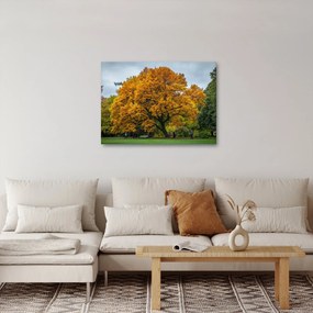 Tablou cu copac (70x50 cm)