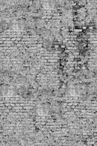 Fototapet, Barcelona, Grey, Rebel Walls