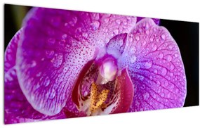 Tablou detailat cu floare de orhidee (120x50 cm)