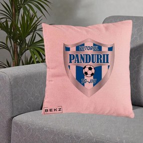 Perna Personalizata Pandurii Targu Jiu Fotbal, 40x40 cm, Roz, Husa Detasabila, Perna Inclusa, BEKZ®