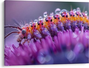 Tablou - Caterpillar (70x50 cm)
