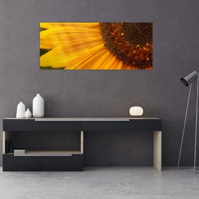 Tablou - Floarea-soarelui (120x50 cm)