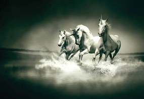 Fototapet - Unicorni galopînd pe apă (152,5x104 cm), în 8 de alte dimensiuni noi