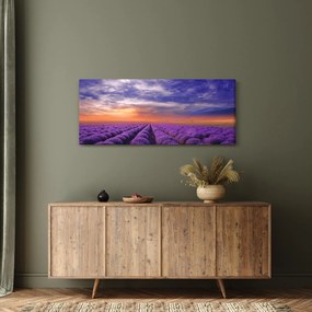 Tablou câmpului cu lavandă (120x50 cm)
