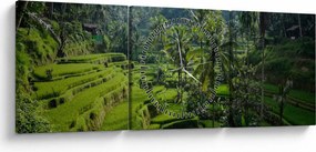 Tablou cu terasele cu orez Tegalalang, Bali (cu ceas) (90x30 cm)