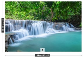 Fototapet Pădure Cascada