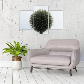 Tablou - Sfere de flori (90x60 cm)