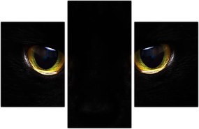 Tablou - Ochi de pisică (90x60 cm)