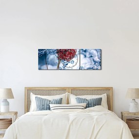 Tablou - detailu zmeură în apă (cu ceas) (90x30 cm)
