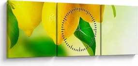 Tablou cu lămâi (cu ceas) (90x30 cm)