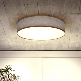 Plafonieră LED dimabilă Brilagi CARMEN LED/48W/230V 3000-6500K + telecomandă