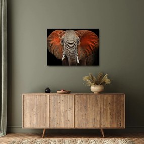 Tablou - Elefanți cu Tsavo (70x50 cm)