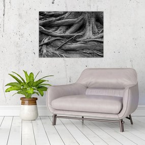Tablou pe sticlă - Rădăcinile copacului (70x50 cm)