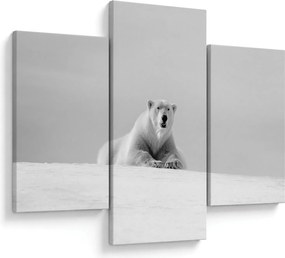 Tablou - Urs polar,alb-negru (90x60 cm)