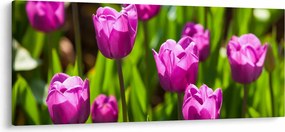 Tablou cu lale pe luncă (120x50 cm)