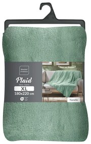 Pătură verde-deschis din microflanel 180x220 cm Flanou – douceur d'intérieur