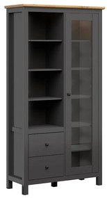 Vitrină Hesen REG1W2S/20/11 (cu iluminat LED) (grafit + Stejar artisan). 1062527