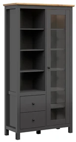 Vitrină Hesen REG1W2S/20/11 (cu iluminat LED) (grafit + Stejar artisan). Promo -18%. 1062527