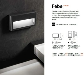 Spot LED aplicat iluminat ambiental exterior IP65 FEBE-2 AP antracit
