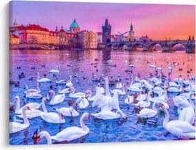 Tablou - Praga (70x50 cm)