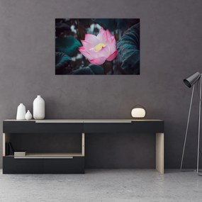 Tablou cu floare roz (90x60 cm)