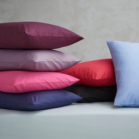 Fețe de pernă 2 buc. din bumbac percale 75x50 cm Easy Iron Percale – Catherine Lansfield