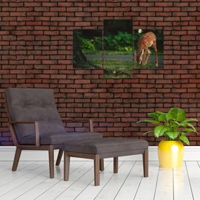 Tablou cu pui de cerb (90x60 cm)