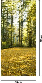 Fototapet pentru ușă - Pădurea toamna (95x205cm)