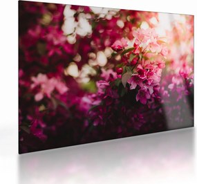 Tablou pe sticlă cu florile tufișului înflorit (70x50 cm)